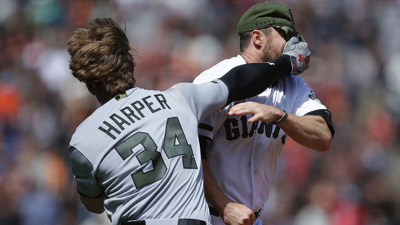 Bryce Harper fight