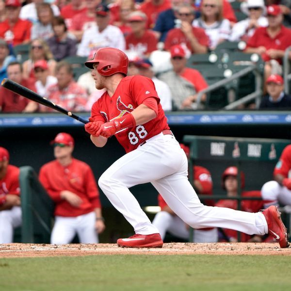 Harrison Bader Stats, News, Pictures, Bio, Videos - St. Louis Cardinals