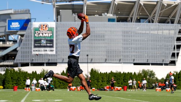 Andy Dalton Stats, News, Videos, Highlights, Pictures, Bio &hellip;