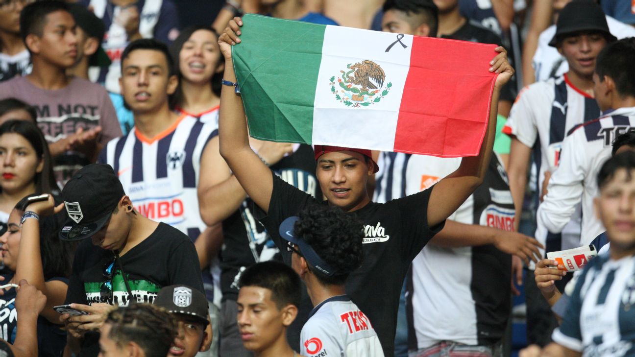 Aficionado con bandera de M�xico