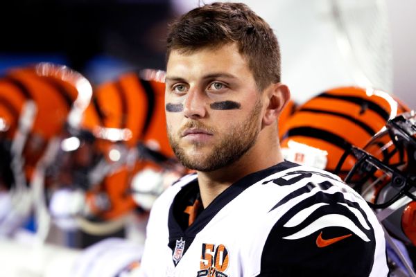 Tyler Eifert Stats News Videos Highlights Pictures Bio