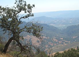 Road Warrior: Wines and Goal Lines