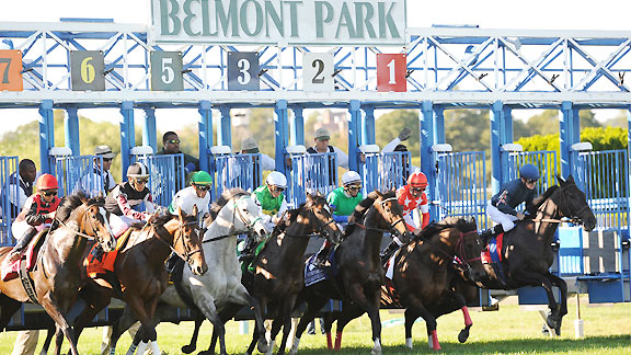 Belmont Park starting gate