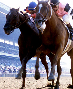 Affirmed beats Alydar to the wire to win the 1978 Belmont Stakes and the Triple Crown.