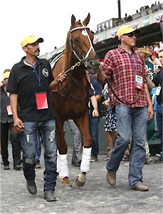 I'll Have Another retired at Belmont Park.