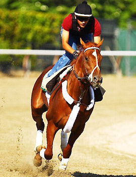 I'll Have Another works at Belmont Park on June 3, 2012.