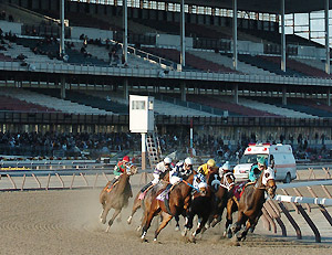 Racing at Aqueduct
