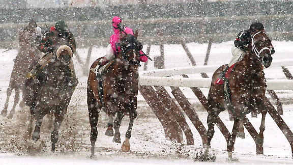 Winter racing on the inner-track at Aqueduct.