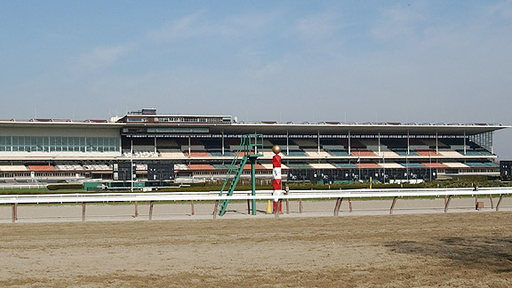 Racing on the inner track at Aqueduct.