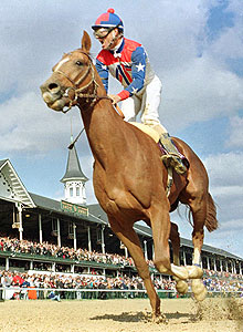 Arazi wins the 1991 Breeders' Cup juvenile at Churchill Downs.