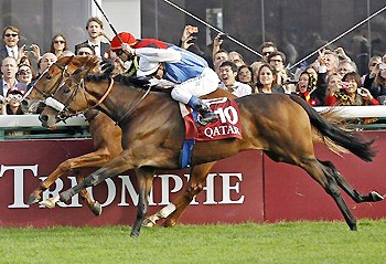Solemia (foreground) wins the 2012 Qatar Prix de l'Arc de Triomphe.
