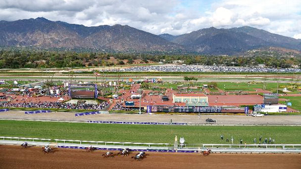 Texas Red wins the 2014 Breeders' Cup Juvenile.