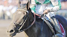 Royal Delta