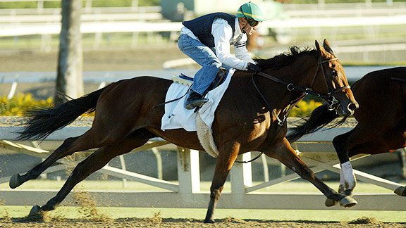 Beholder gets in some work at Santa Anita Park ahead of the 2012 Breeders' Cup.