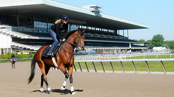 Big Brown at Belmont Park.