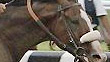 Union Rags gets past Paynter to win the Belmont Stakes.