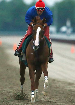 California Chrome gets some work over the Belmont track