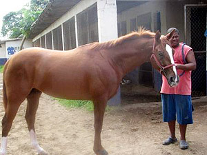 Clasico del Caribe contender Predathor.