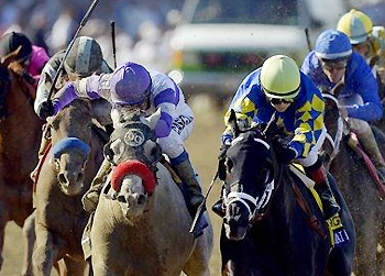 Shanghai Bobby outruns He's Had Enough to win the 2012 Breeders' Cup Juvenile.