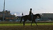 Churchill Downs