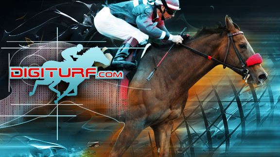 Digiturf.com