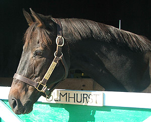 Elmhurst