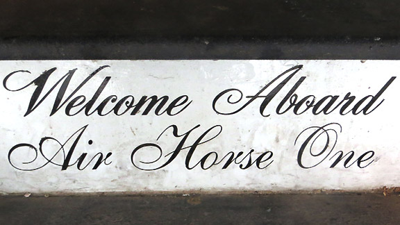 Horse flight