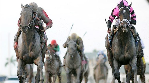 Orb wins the 2013 Fountain of Youth.