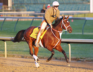 Larry Jones on Horse of the Year Havre de Grace.
