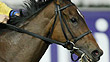 Perfect Shirl wins the 2011 Breeders' Cup Filly and Mare Turf.
