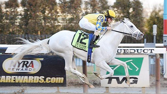 Hansen wins the 2012 Gotham Stakes.