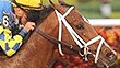Algorithms wins the 2012 Holy Bull Stakes at Gulfstream Park.
