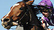 St Nicholas Abbey wins the 2011 Breeders' Cup Turf.
