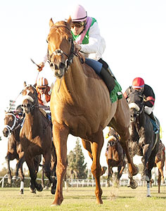 Seek Again wins the 2013 Hollywood Derby.