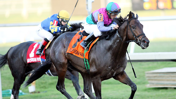 Itsmyluckyday upsets Shanghai Bobby to win the 2013 Holy Bull Stakes.