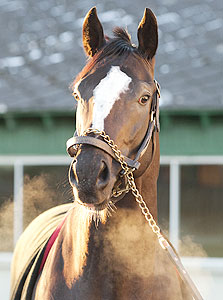 Honor Code