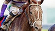 I'll Have Another (left) beats Bodemeister to the wire to win the 2012 Kentucky Derby.