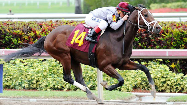 Khozan wins at Gulfstream Park.