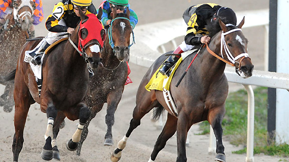 Oxbow wins the 2013 Lecomte Stakes at Fair Grounds.