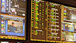 Sportsbook