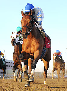 Noble Moon wins the 2014 Jerome Stakes.