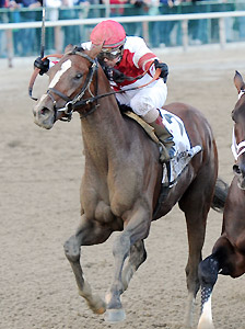 Normandy Invasion