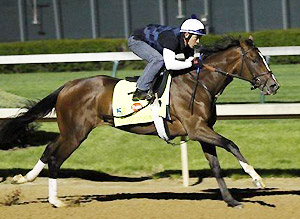 Javier Herrara works Normandy Invasion for the 138th Kentucky Derby.