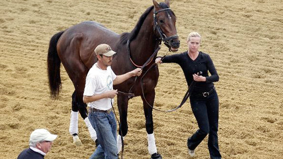 Orb prepares for the 2013 Preakness Stakes.