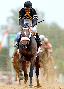 Gary Stevens and Oxbow win the 138th Preakness Stakes.