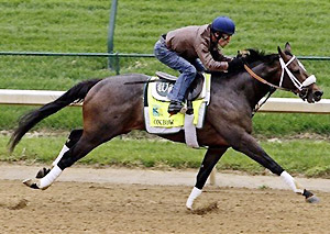 Oxbow works at Churchill Downs on April 29, 2013.