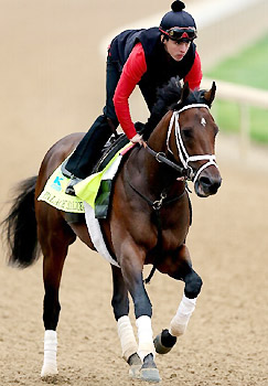 Jake Nelson works out Palace Malice for the 138th Kentucky Derby.