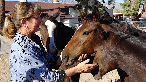 Wendy Davis, Race Track Industry Program Associate Coordinator, greets Dixie, left, Bambee, center, and Goldee.