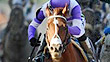 I'll Have Another runs down Bodemeister to win the 137th Preakness Stakes.