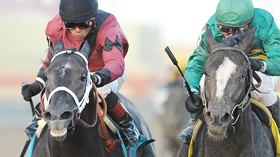 Honor Code, right, wins the 2013 Remsen Stakes.